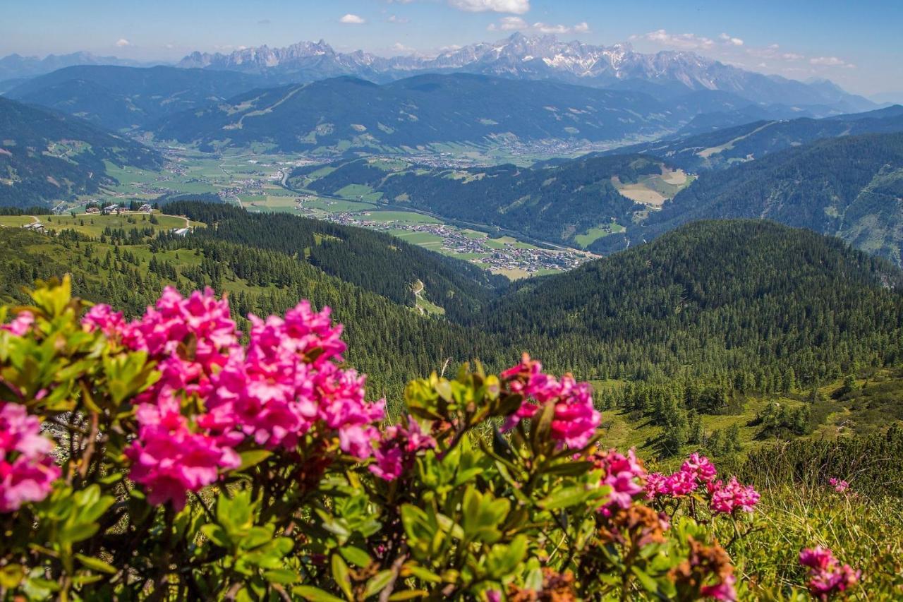 Aigenberg Appartements Flachau Zewnętrze zdjęcie